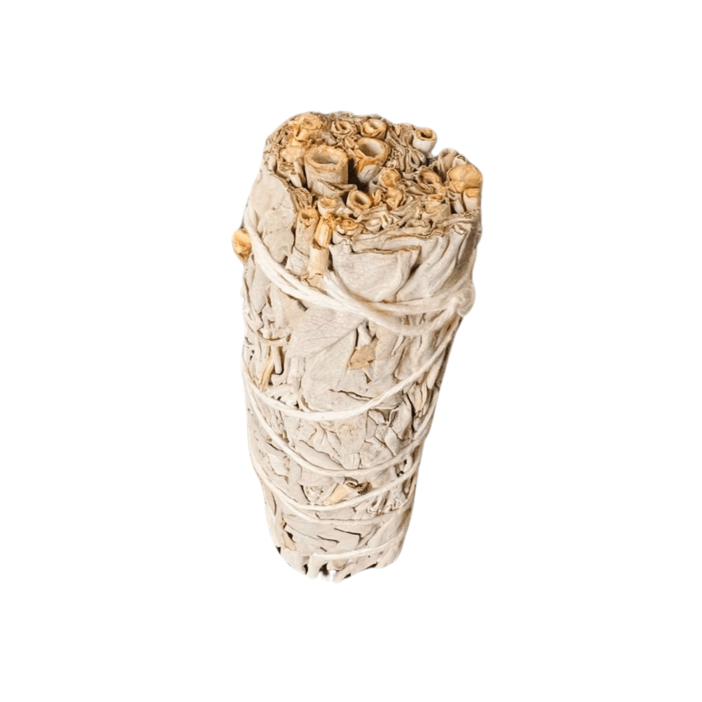 Bâton de Sauge blanche de Californie ≈ 40 g - Aur'essentielle