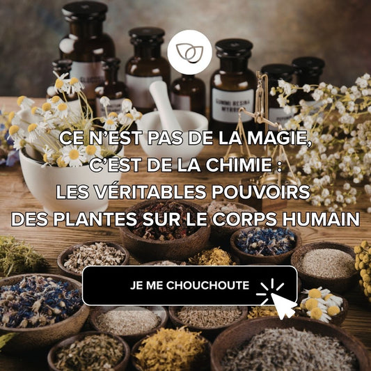 Ce n’est pas de la magie, c’est de la chimie : les véritables pouvoirs des plantes sur le corps humain