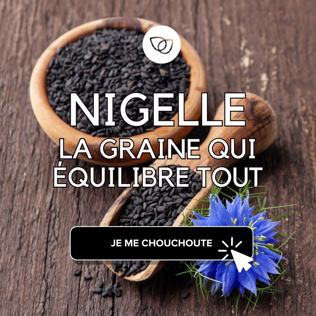 Nigelle : la graine qui équilibre tout
