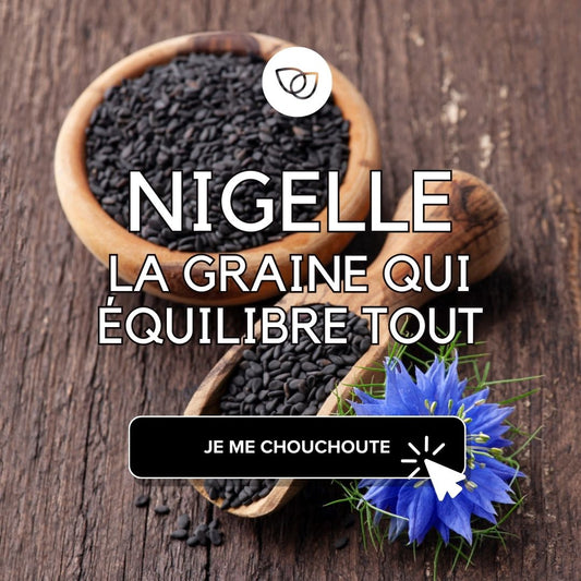 Nigelle : la graine qui équilibre tout