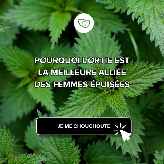 Pourquoi l’ortie est la meilleure alliée des femmes épuisées