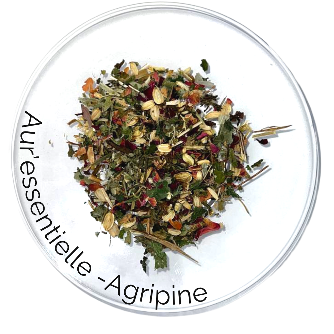 AGRIPINE - Tisane harmonie des cycles