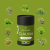 Claudia — Infusion légèreté et confort digestif